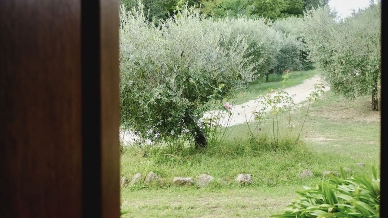 Photo of Others in Poggio