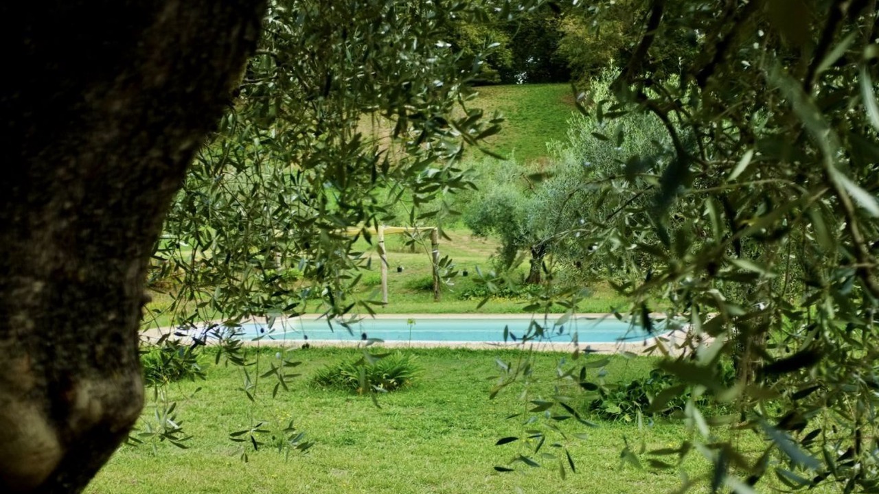 Photo of Others in Poggio