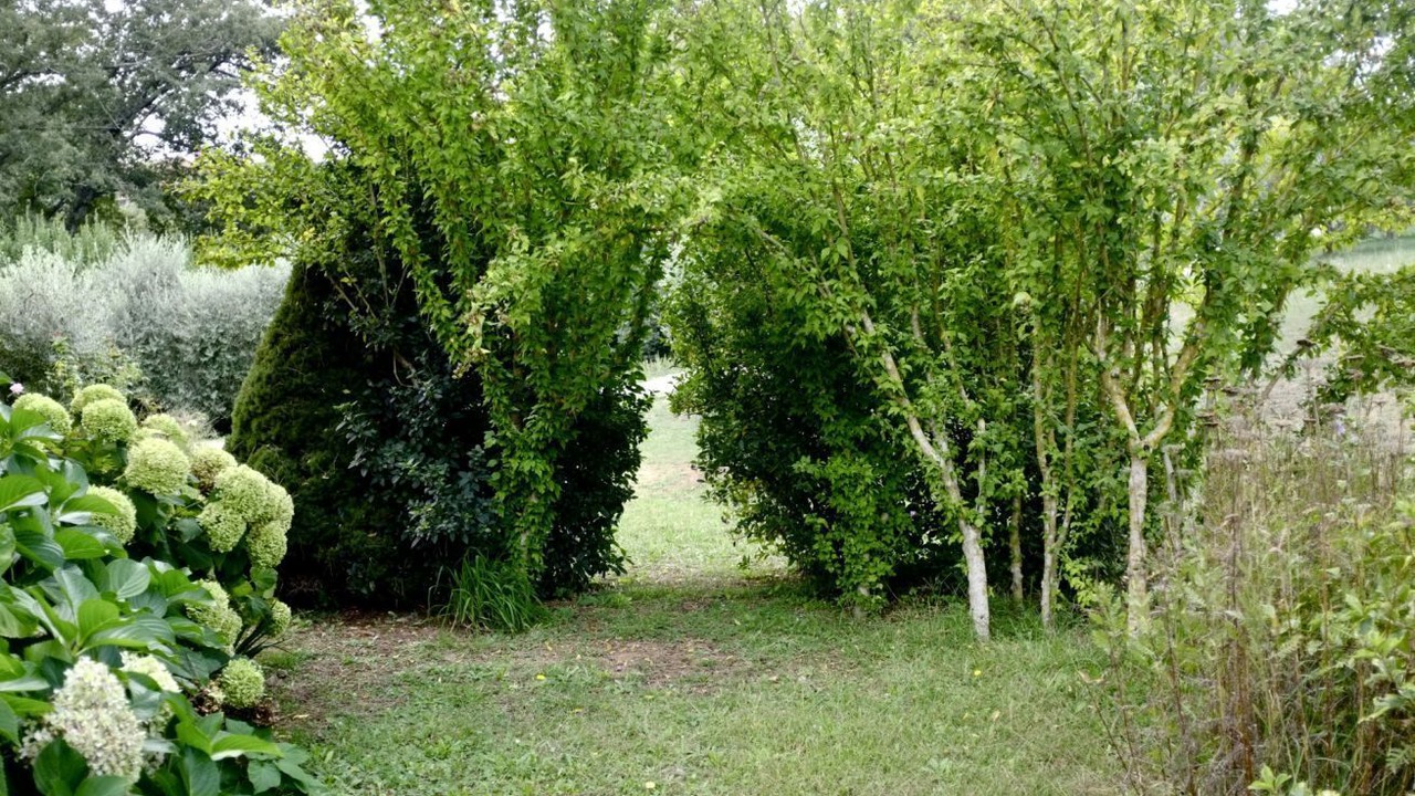 Photo of Outdoor in Poggio