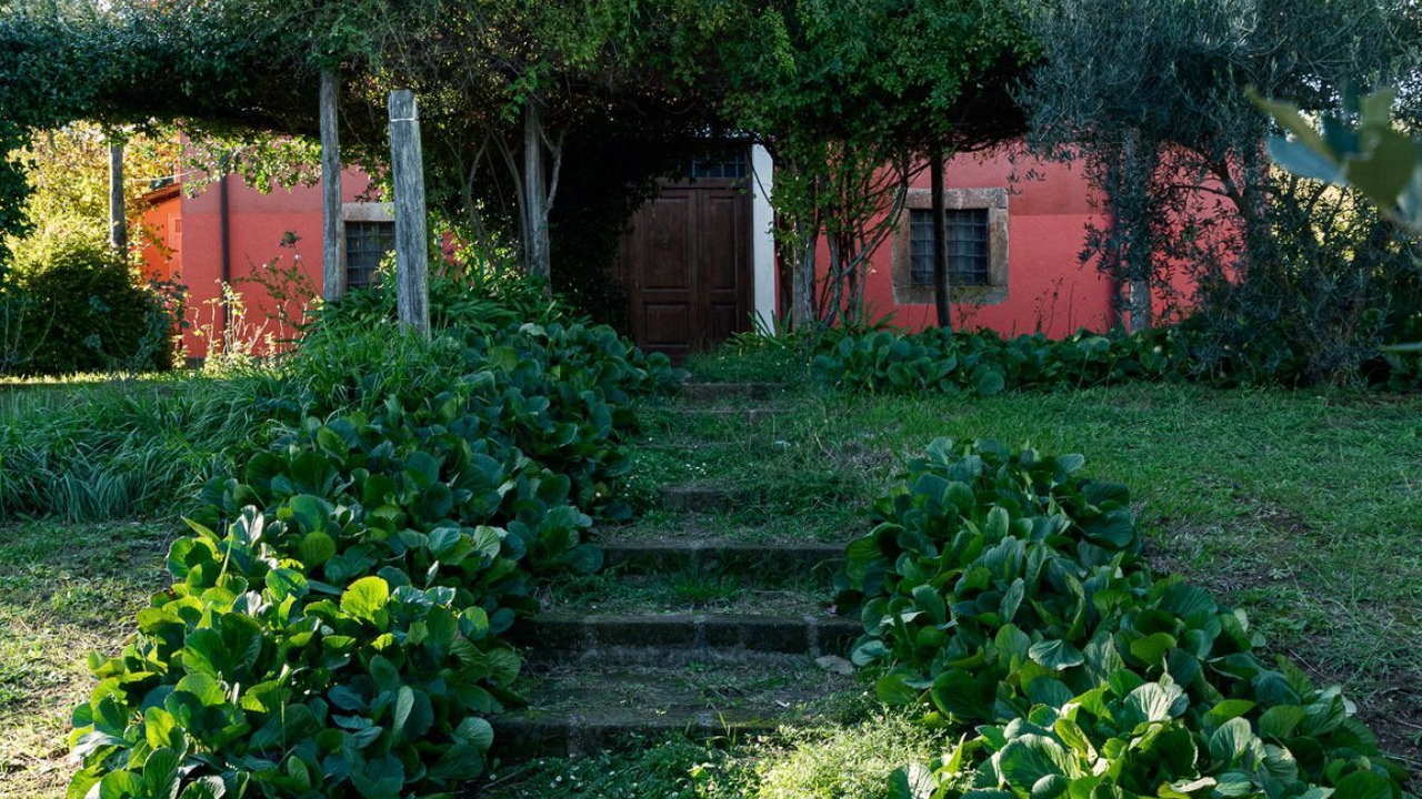 Photo of Outdoor in Poggio