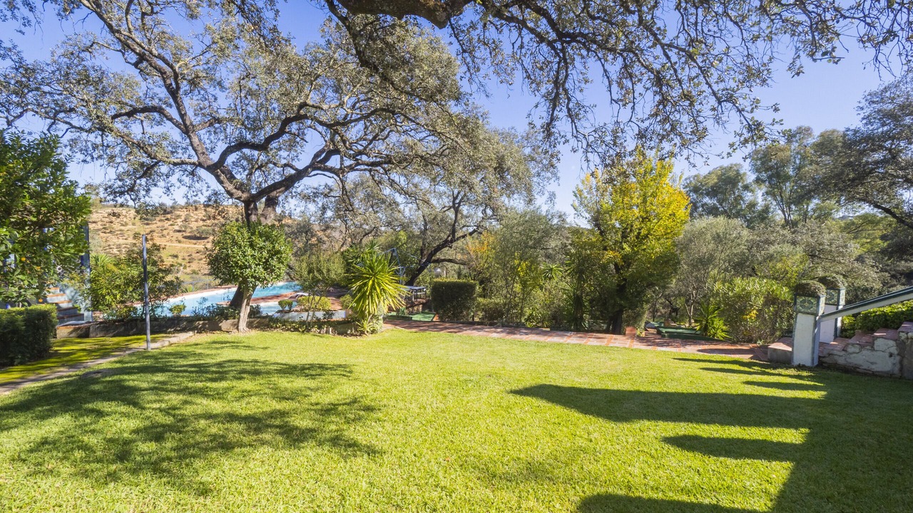 Photo of Outdoor in Guillena