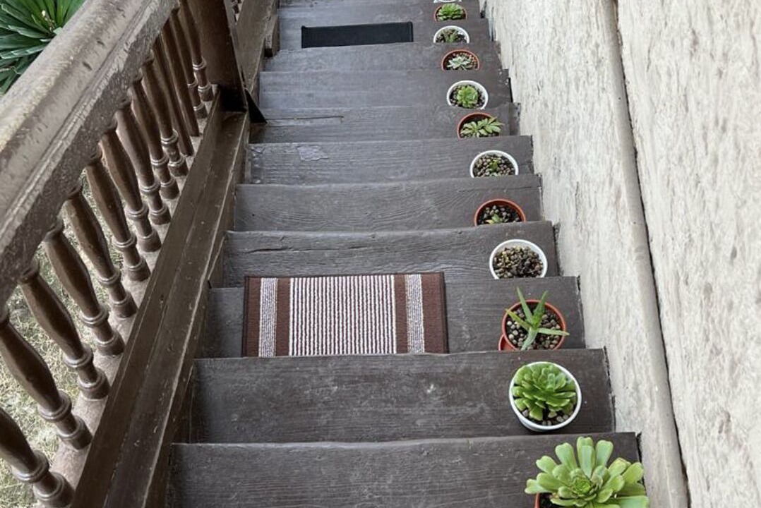 Photo of Outdoor in Mieres