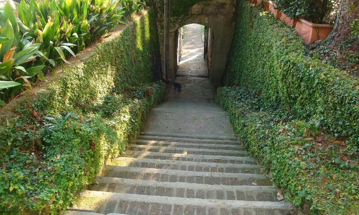 Photo of Outdoor in Moltrasio