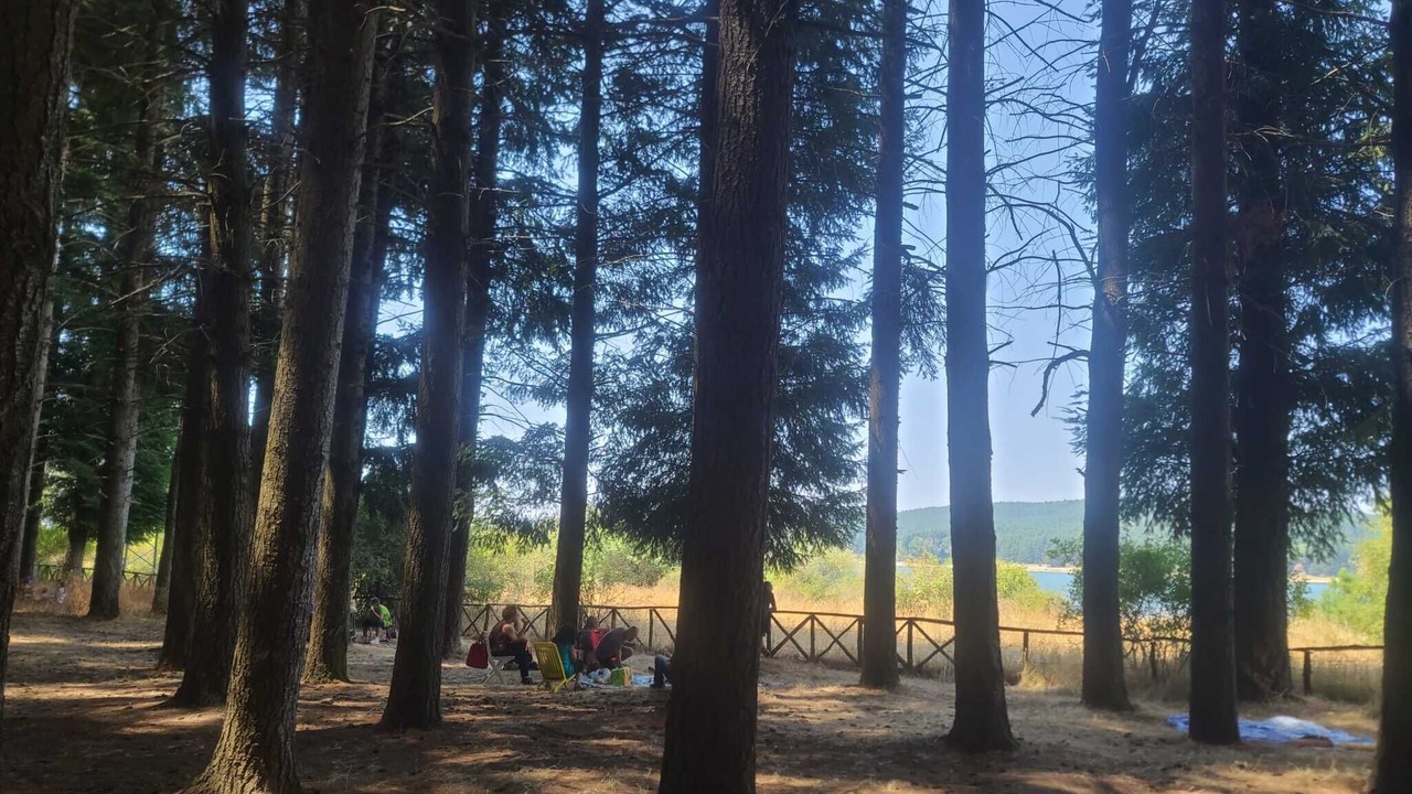 Photo of Others in Arcavacata