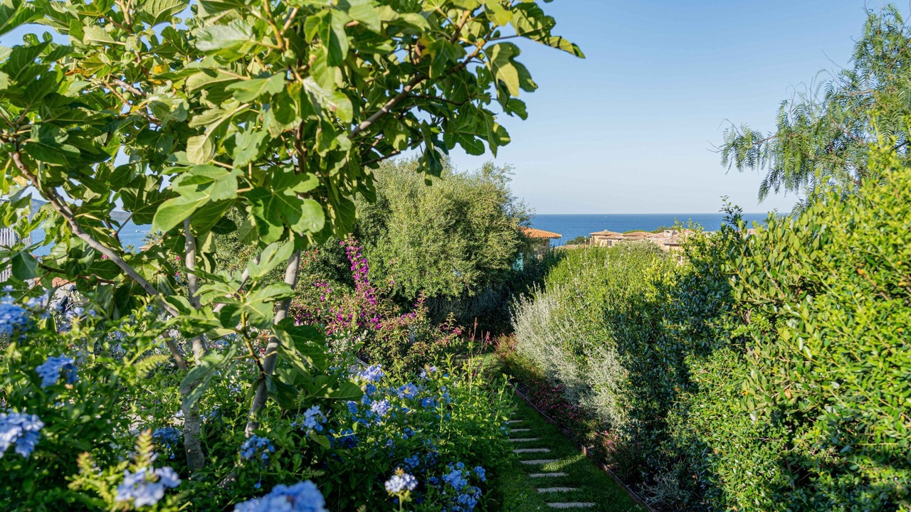 Photo of Outdoor in Puntaldia
