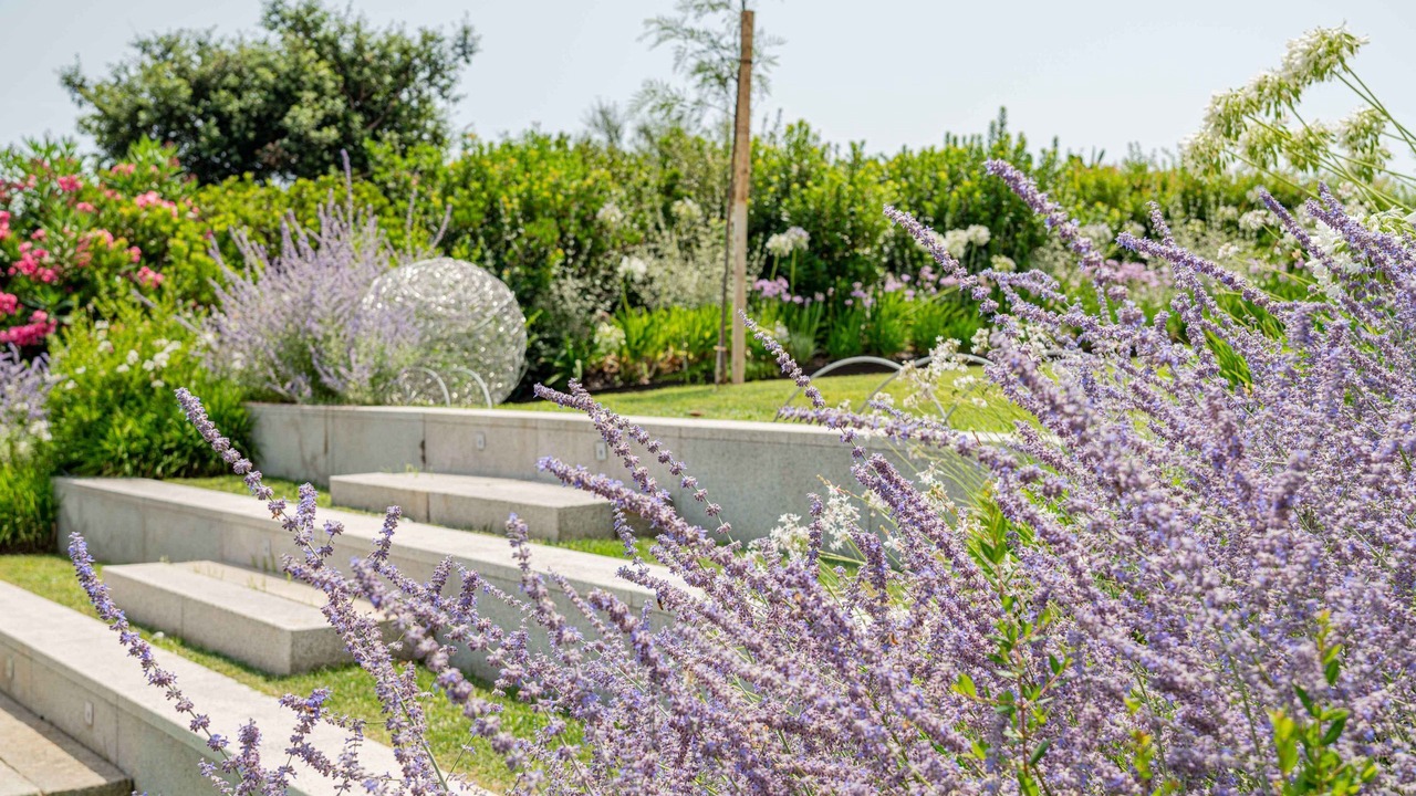 Photo of Outdoor in Puntaldia