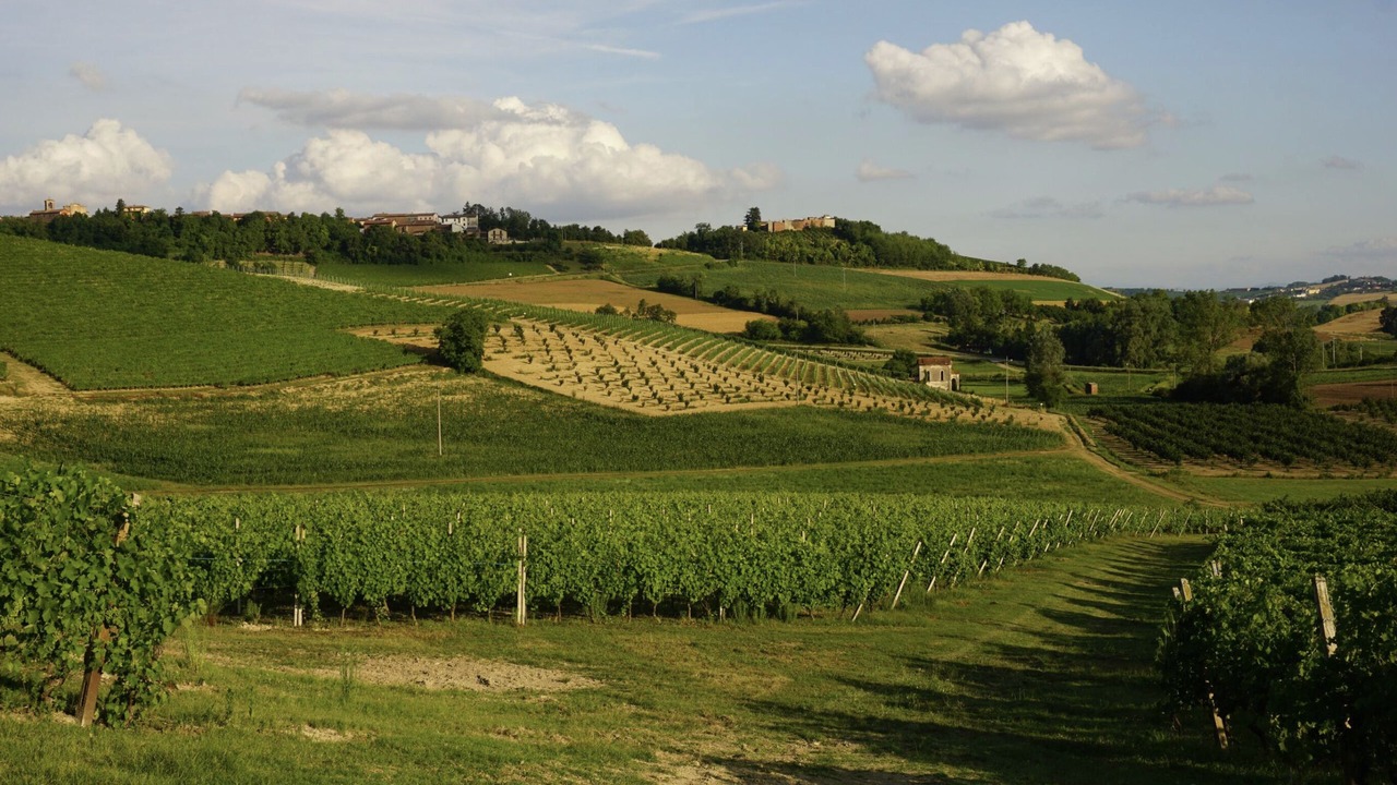 Photo of Others in Grazzano Badoglio