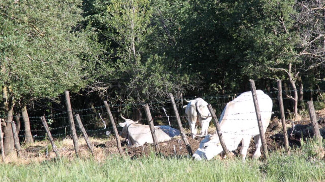 Photo of Outdoor in Camerino