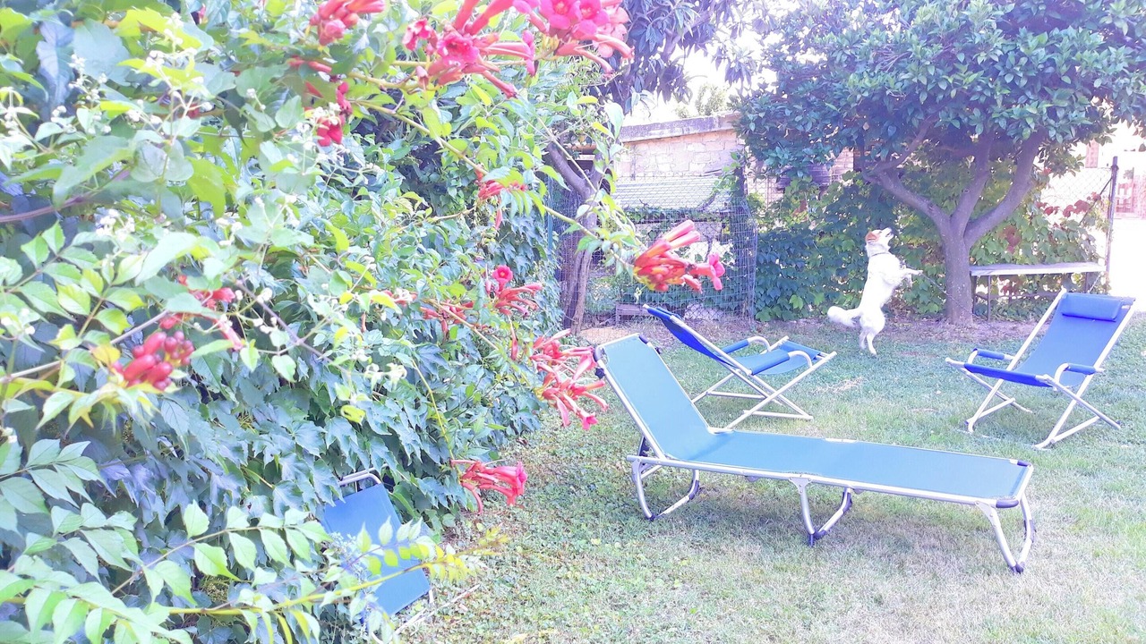 Photo of Outdoor in Canosa Sannita