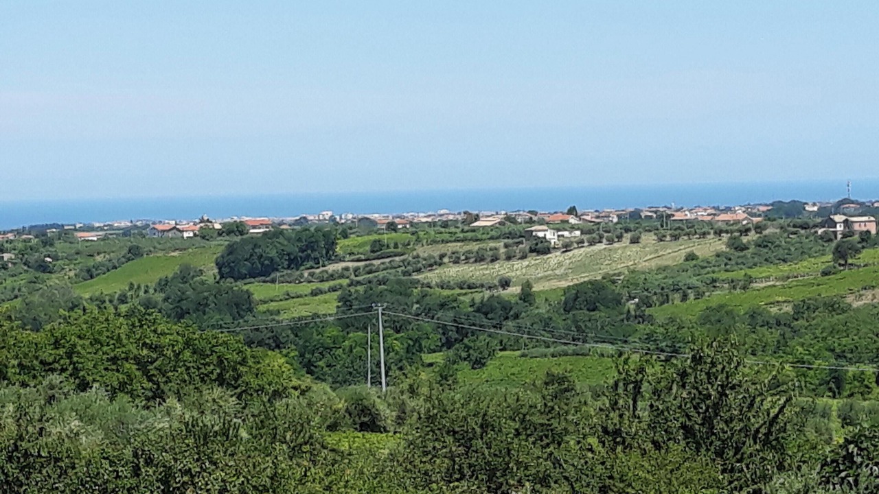 Photo of Others in Canosa Sannita