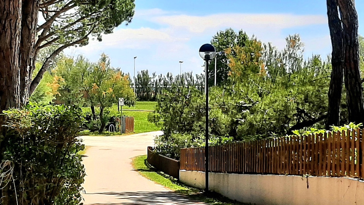 Photo of Outdoor in Eraclea Mare