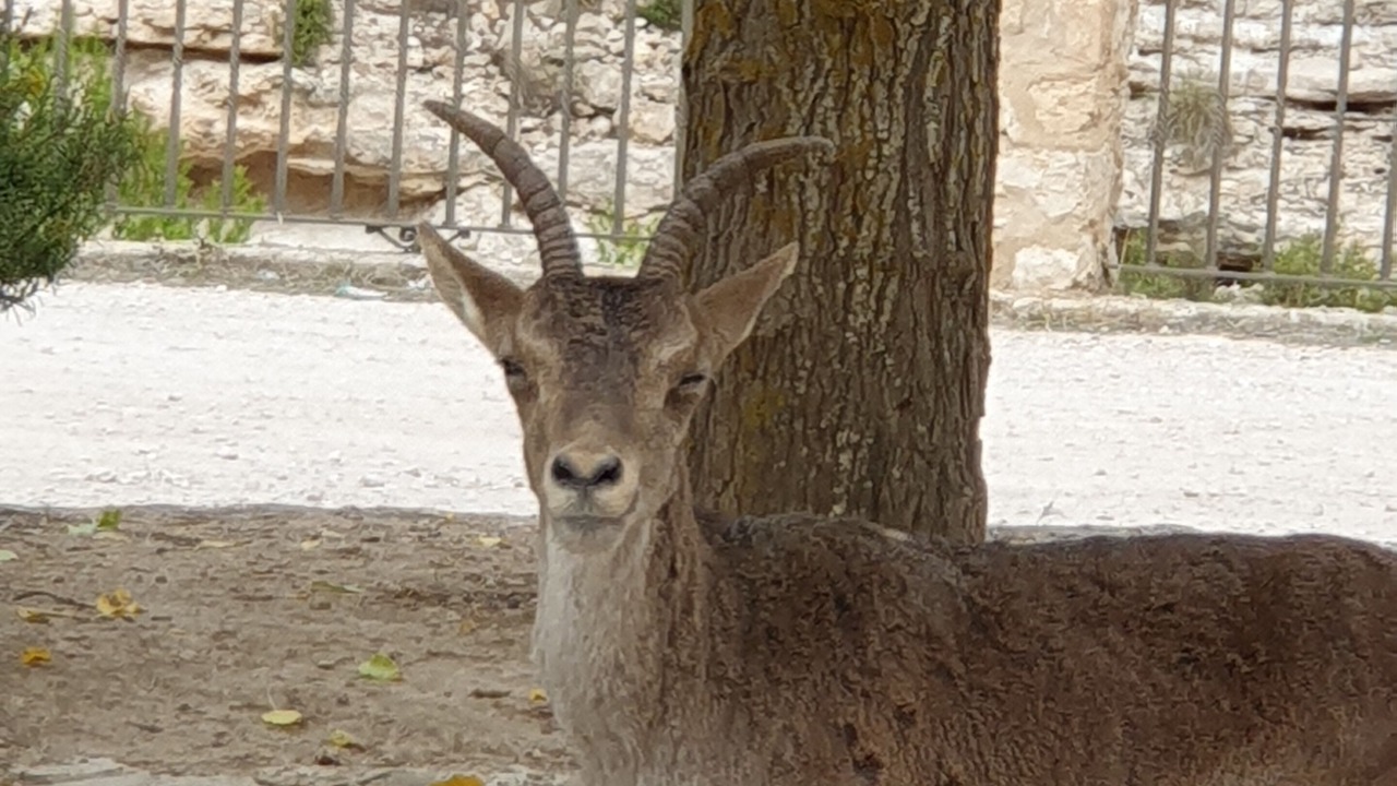 Photo of Outdoor in La Gila