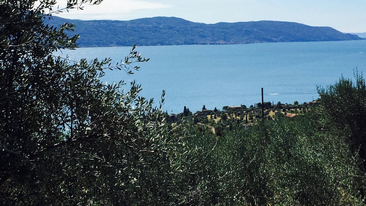 Photo of Outdoor in Gargnano