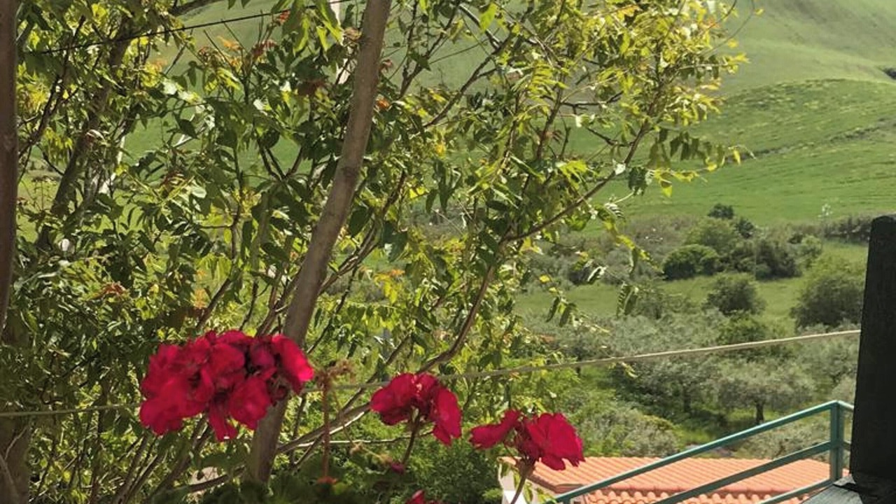 Photo of Outdoor in Montenero di Bisaccia