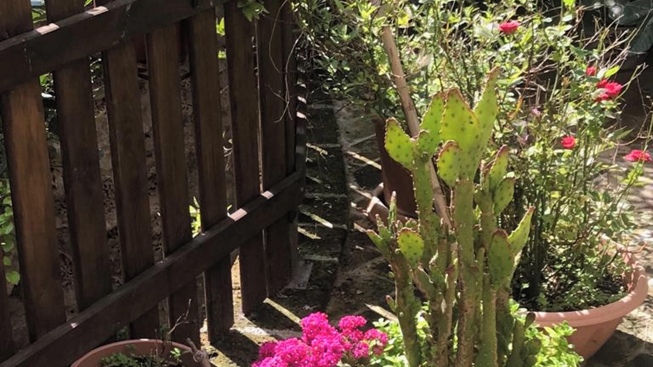 Photo of Outdoor in Montenero di Bisaccia