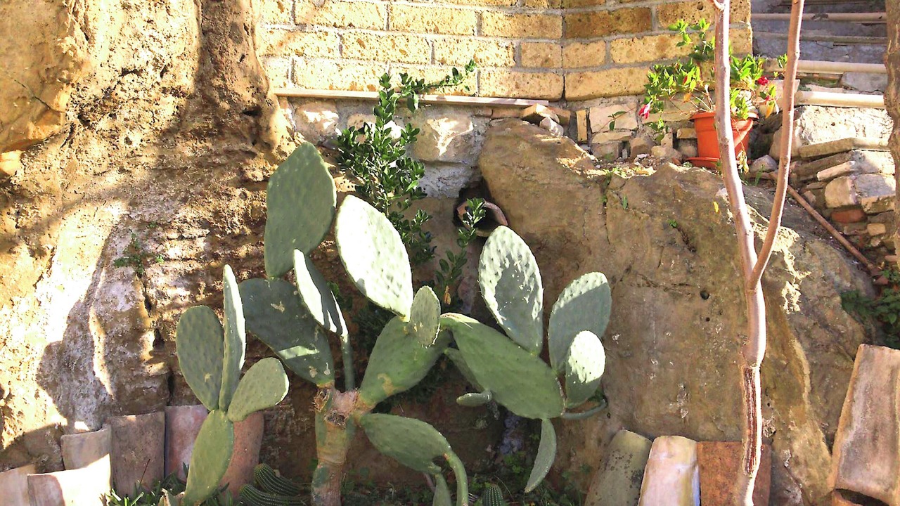 Photo of Outdoor in Montenero di Bisaccia