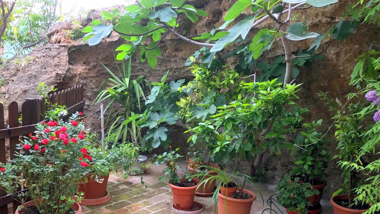 Photo of Outdoor in Montenero di Bisaccia