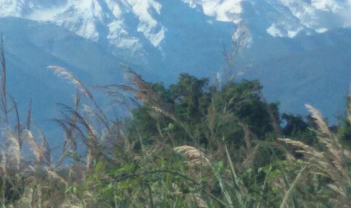 Photo of Others in Canosa Sannita