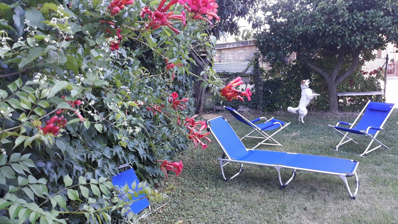 Photo of Outdoor in Canosa Sannita
