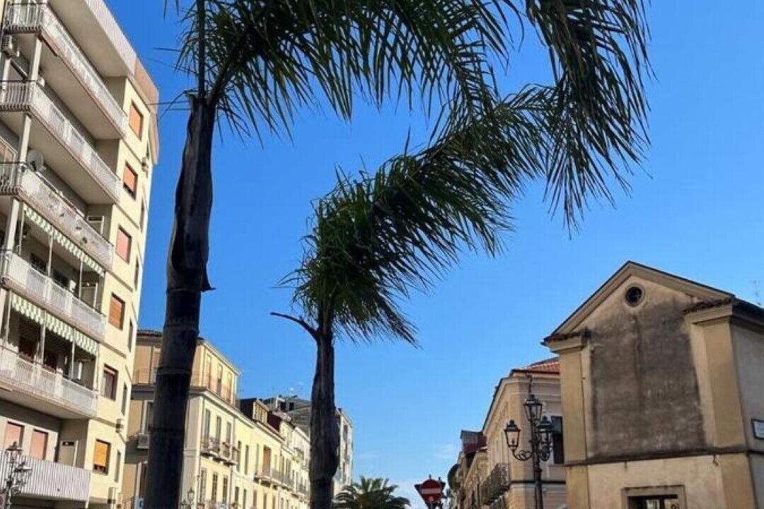 Photo of Outdoor in Lamezia Terme