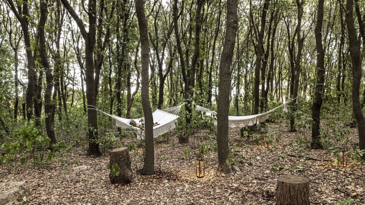 Photo of Outdoor in Cozzana