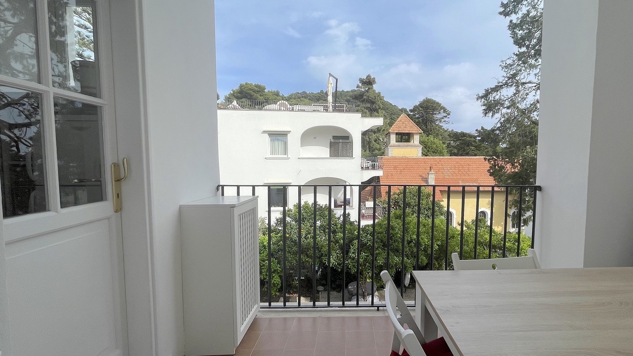 Photo of Outdoor in Licola