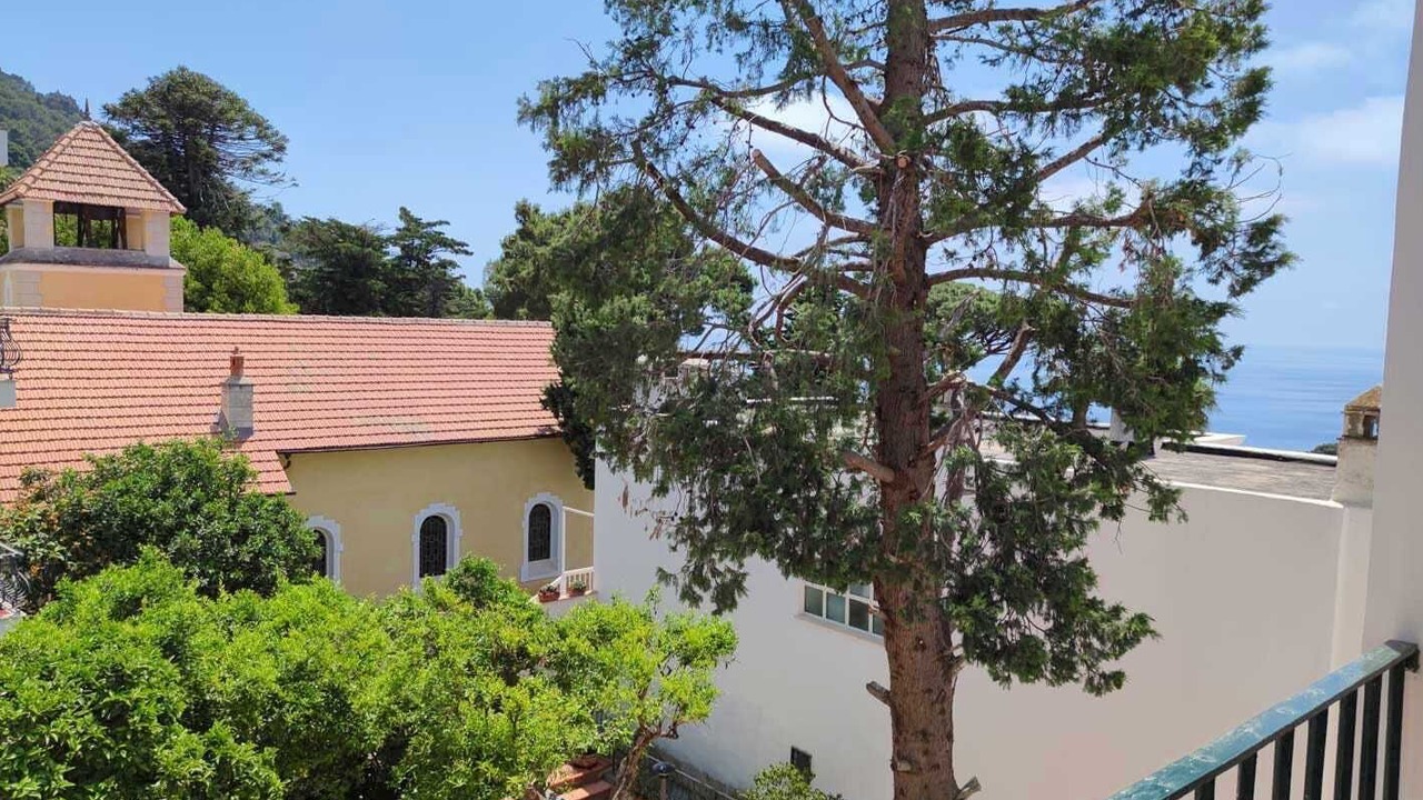 Photo of Outdoor in Licola