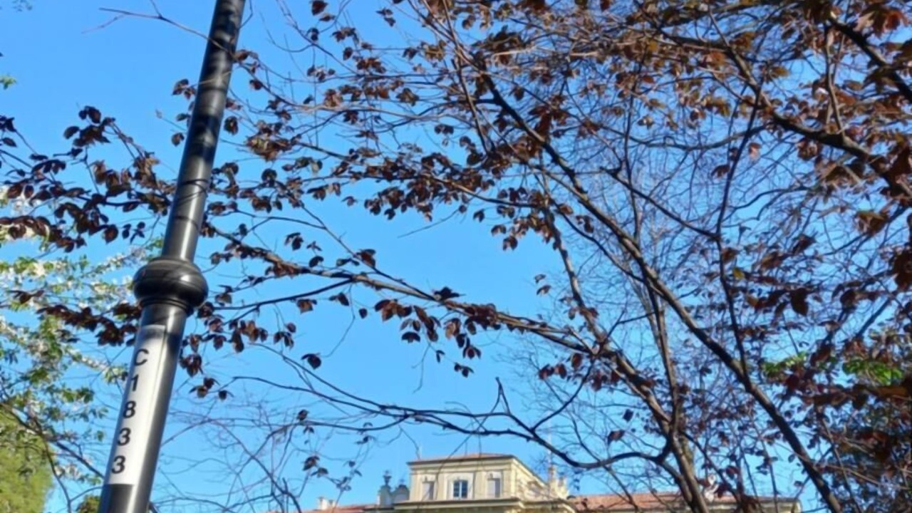 Photo of Outdoor in Cernusco sul Naviglio