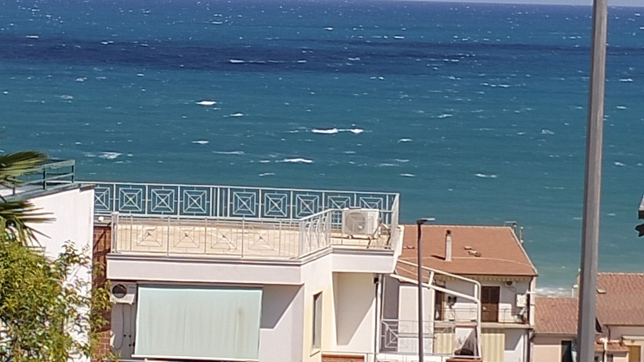 Photo of Others in Marina