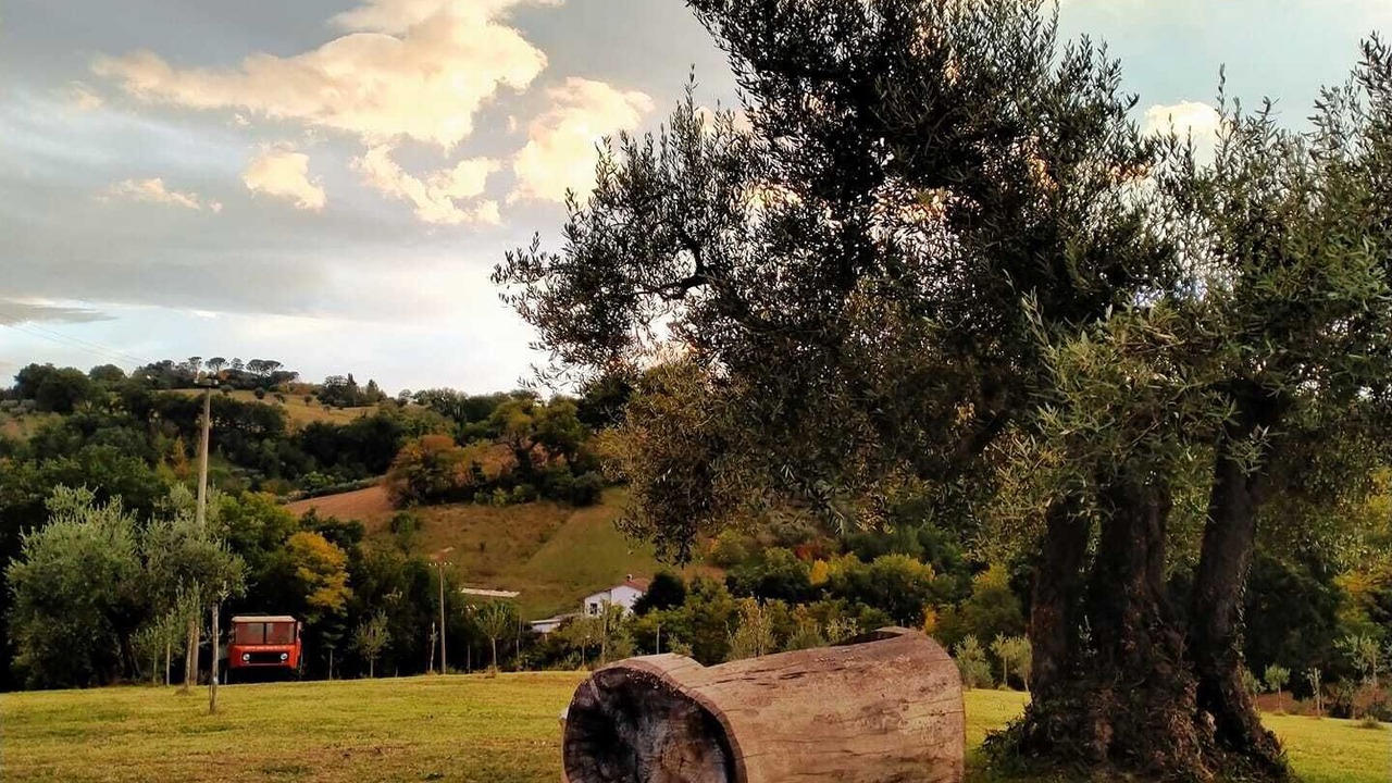 Photo of Outdoor in Treia