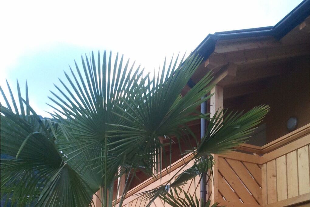 Photo of Outdoor in Gries - Quirein