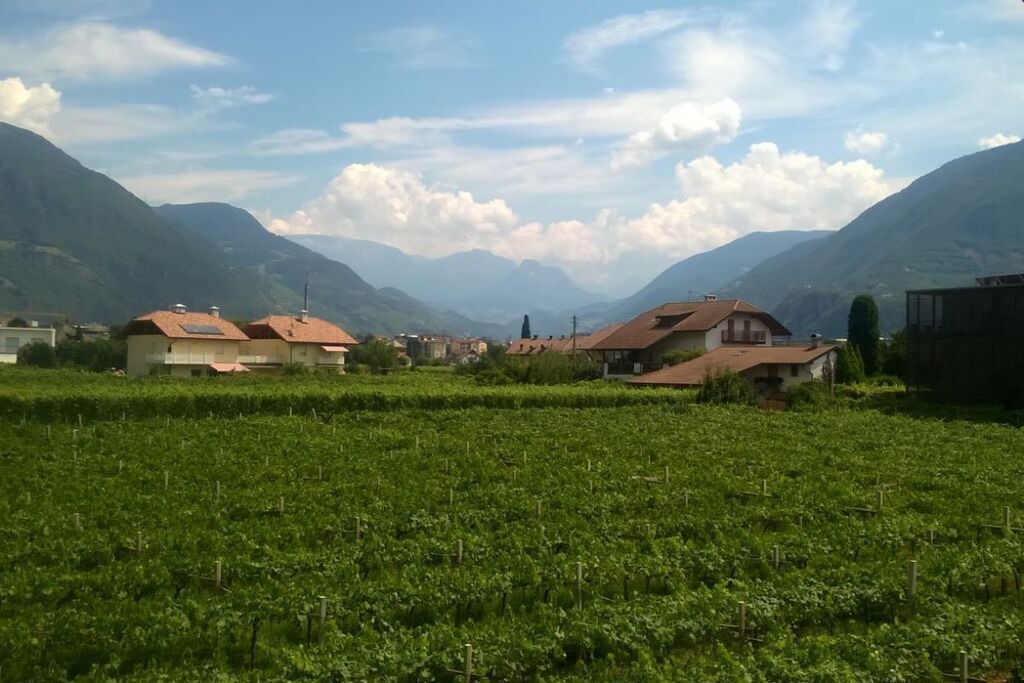 Photo of Others in Gries - Quirein