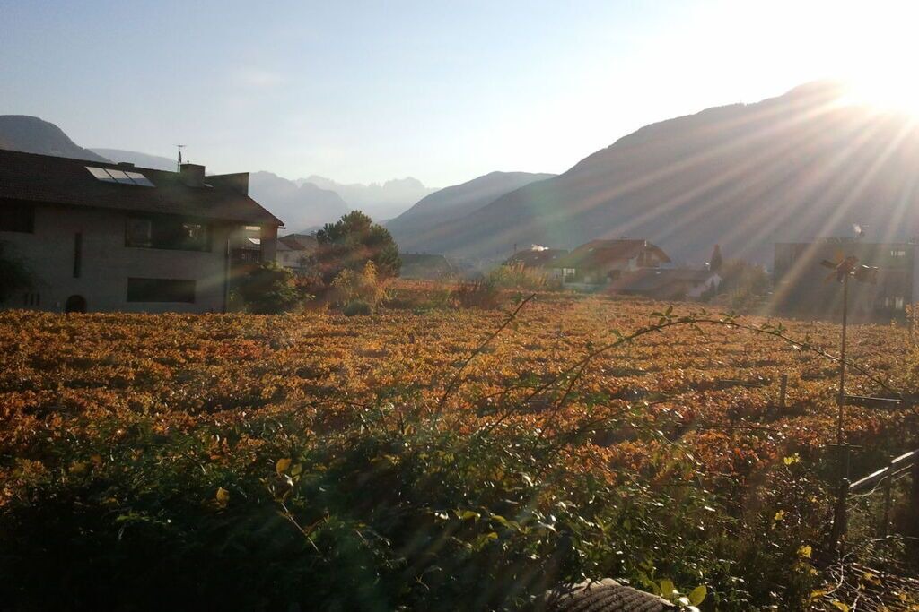 Photo of Outdoor in Gries - Quirein