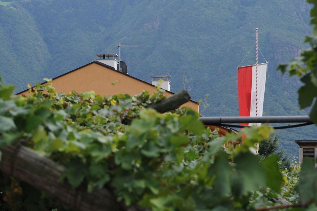 Photo of Outdoor in Gries - Quirein