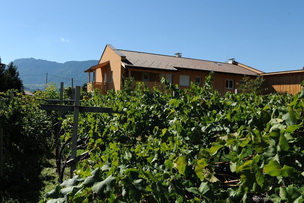Photo of Outdoor in Gries - Quirein