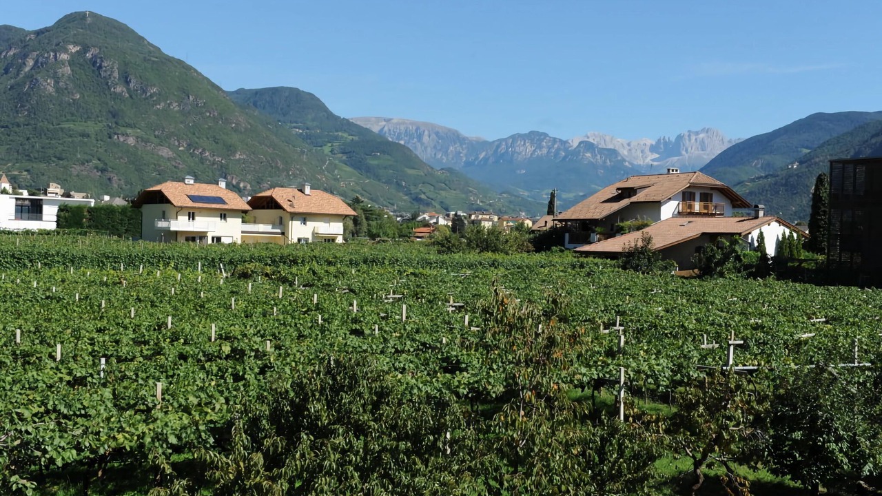 Photo of Others in Gries - Quirein