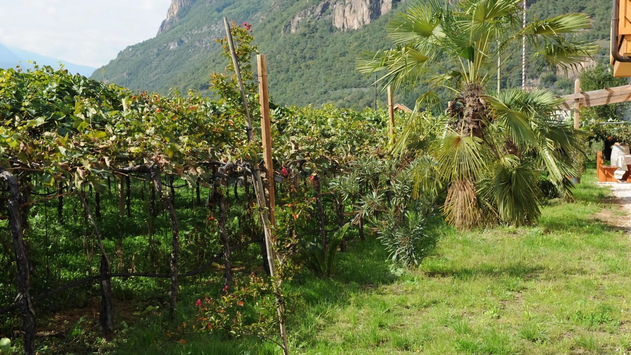 Photo of Outdoor in Gries - Quirein