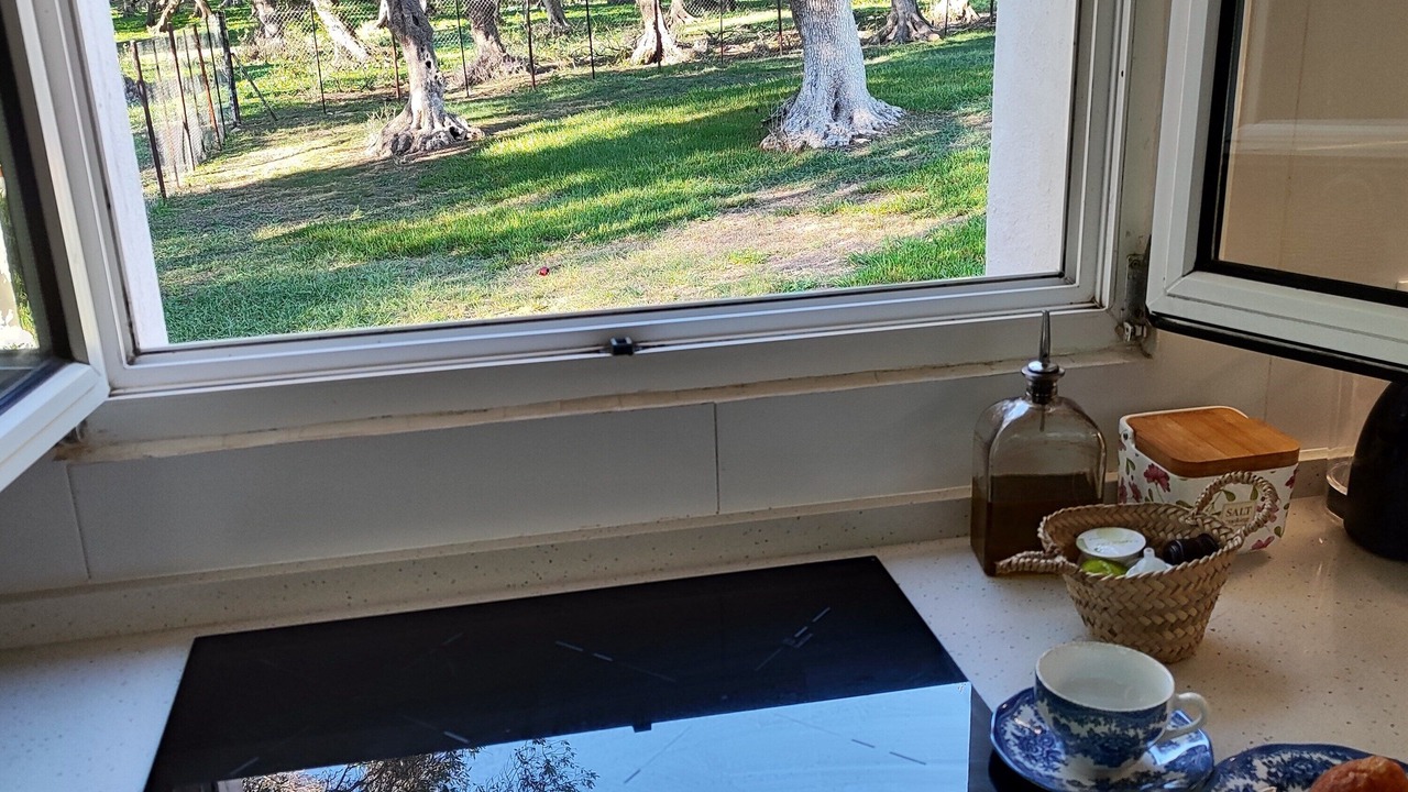Photo of Kitchen in Barbate
