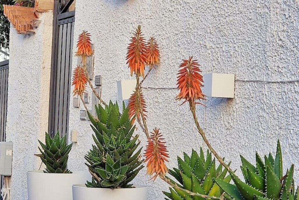 Photo of Outdoor in San Felice Circeo
