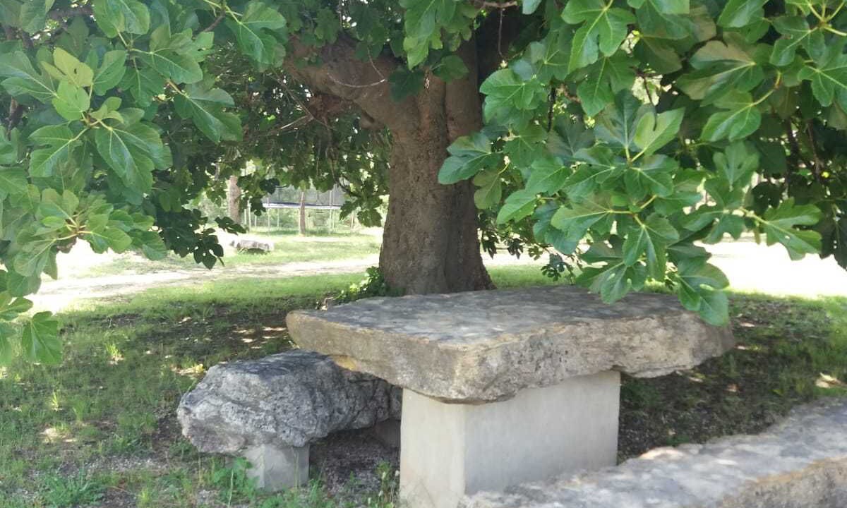 Photo of Outdoor in Enguera