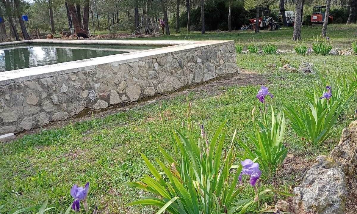 Photo of Outdoor in Enguera