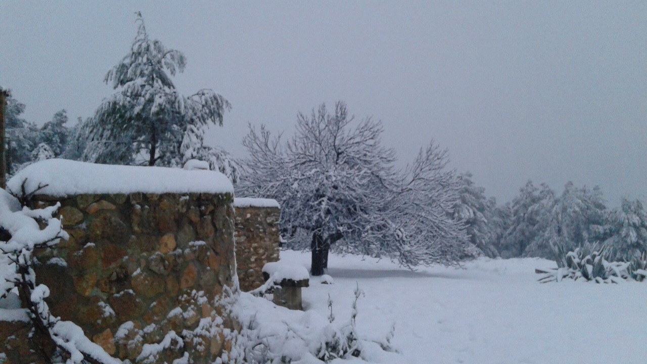 Photo of Outdoor in Enguera
