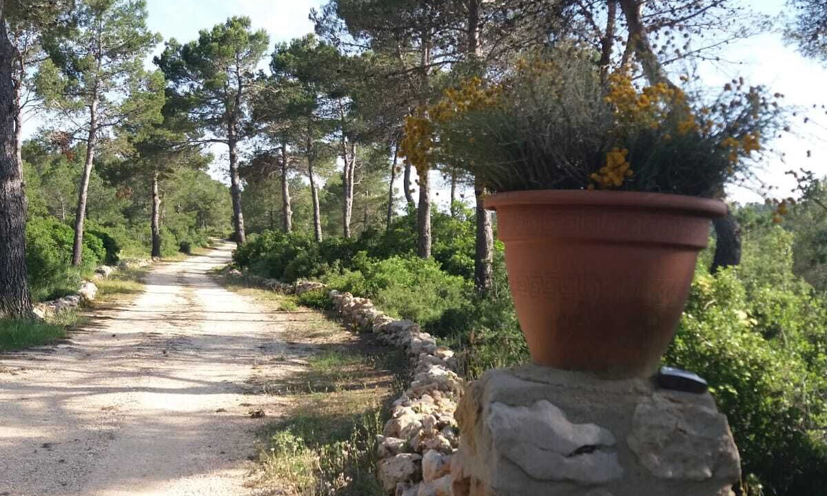 Photo of Outdoor in Enguera