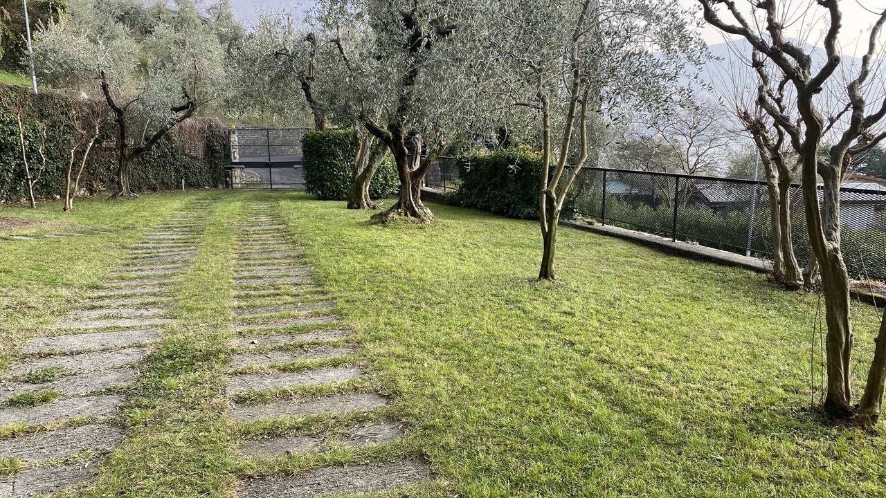 Photo of Outdoor in Sale Marasino