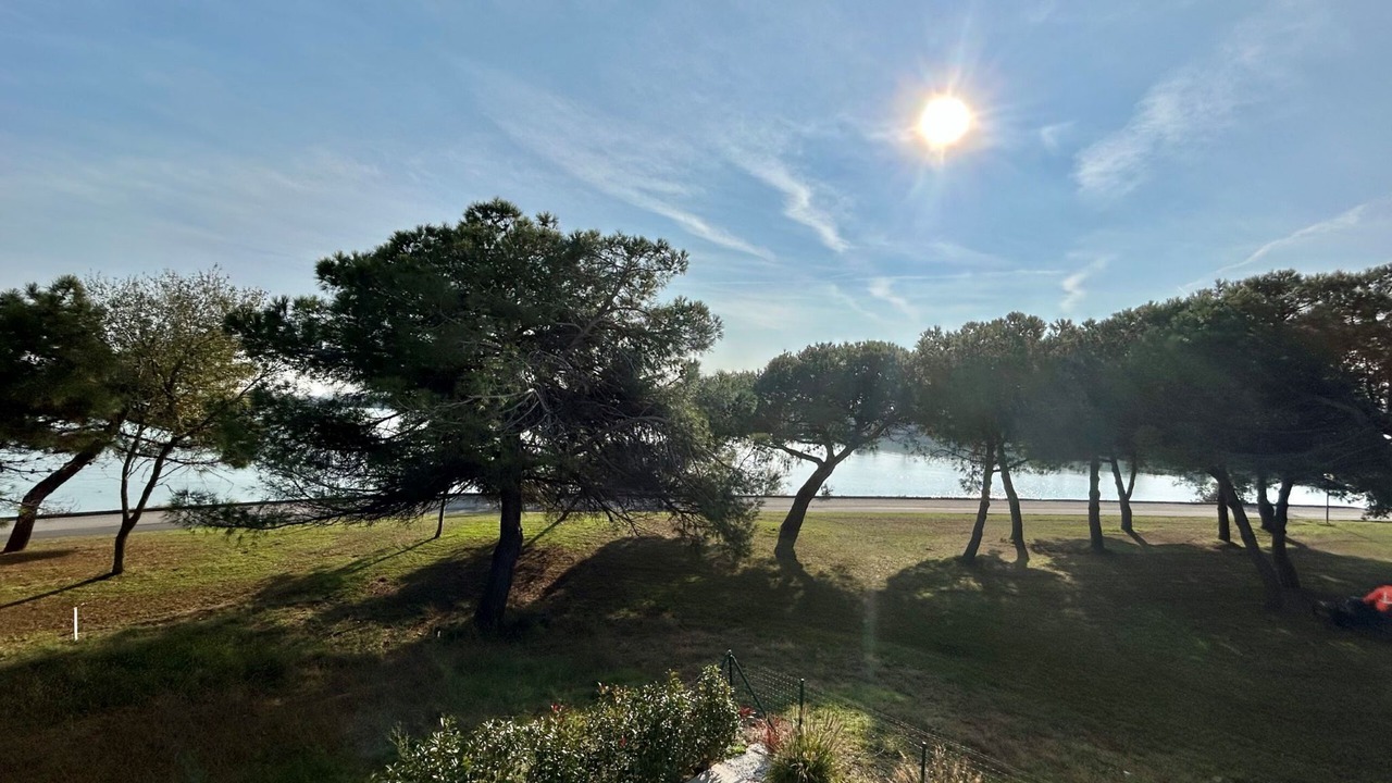 Photo of Outdoor in Isola Albarella