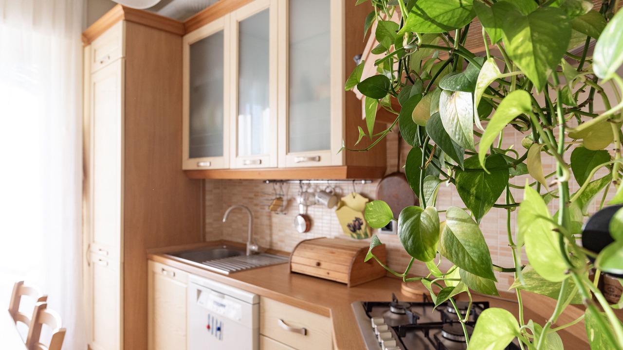 Photo of Kitchen in Milan