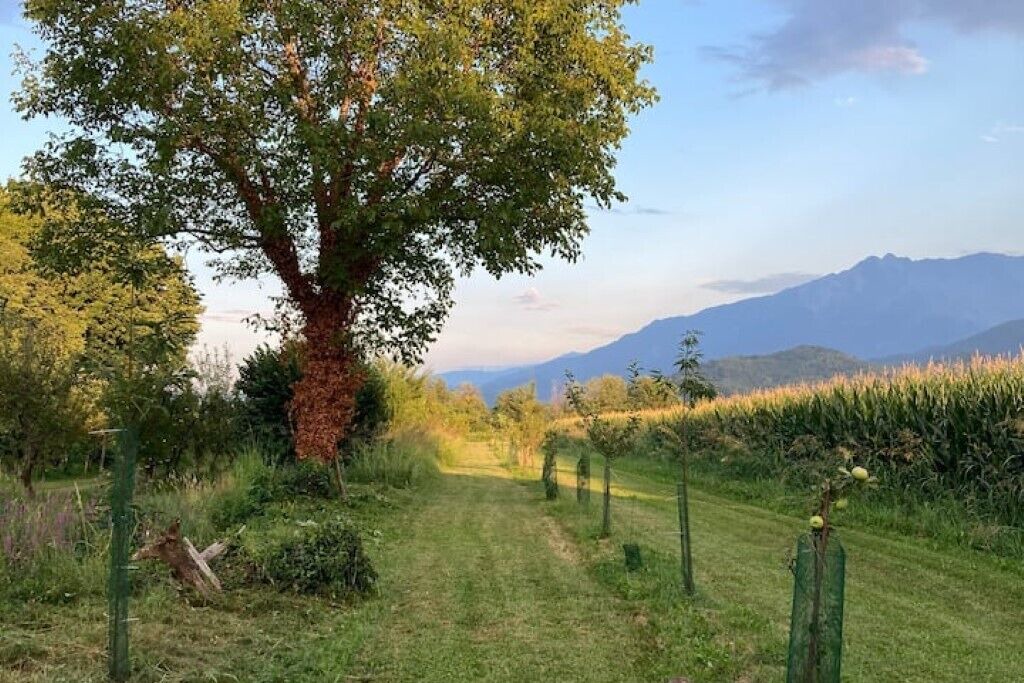 Photo of Outdoor in Martinetto del Rame