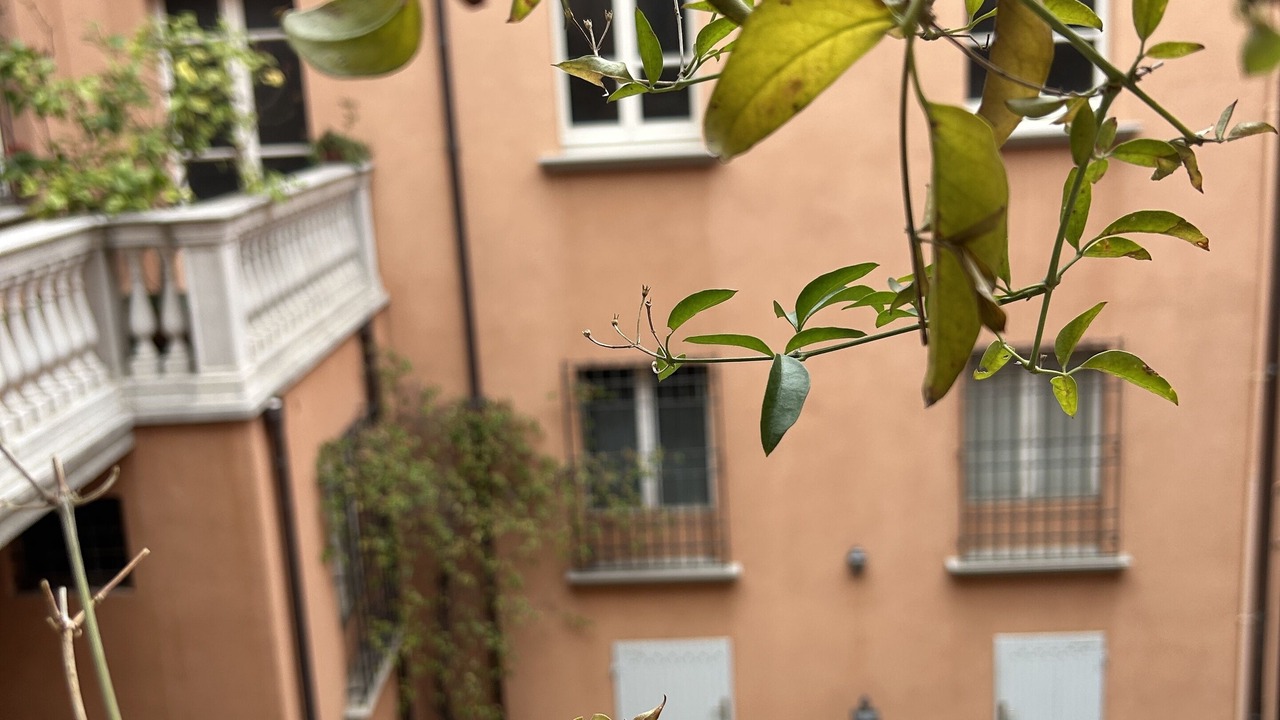 Photo of Outdoor in Rimini Historic Center