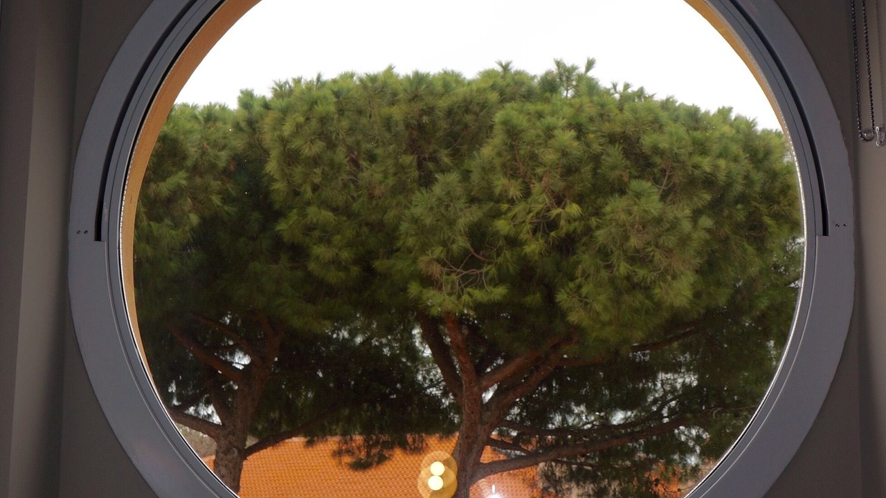 Photo of Others in Ladispoli