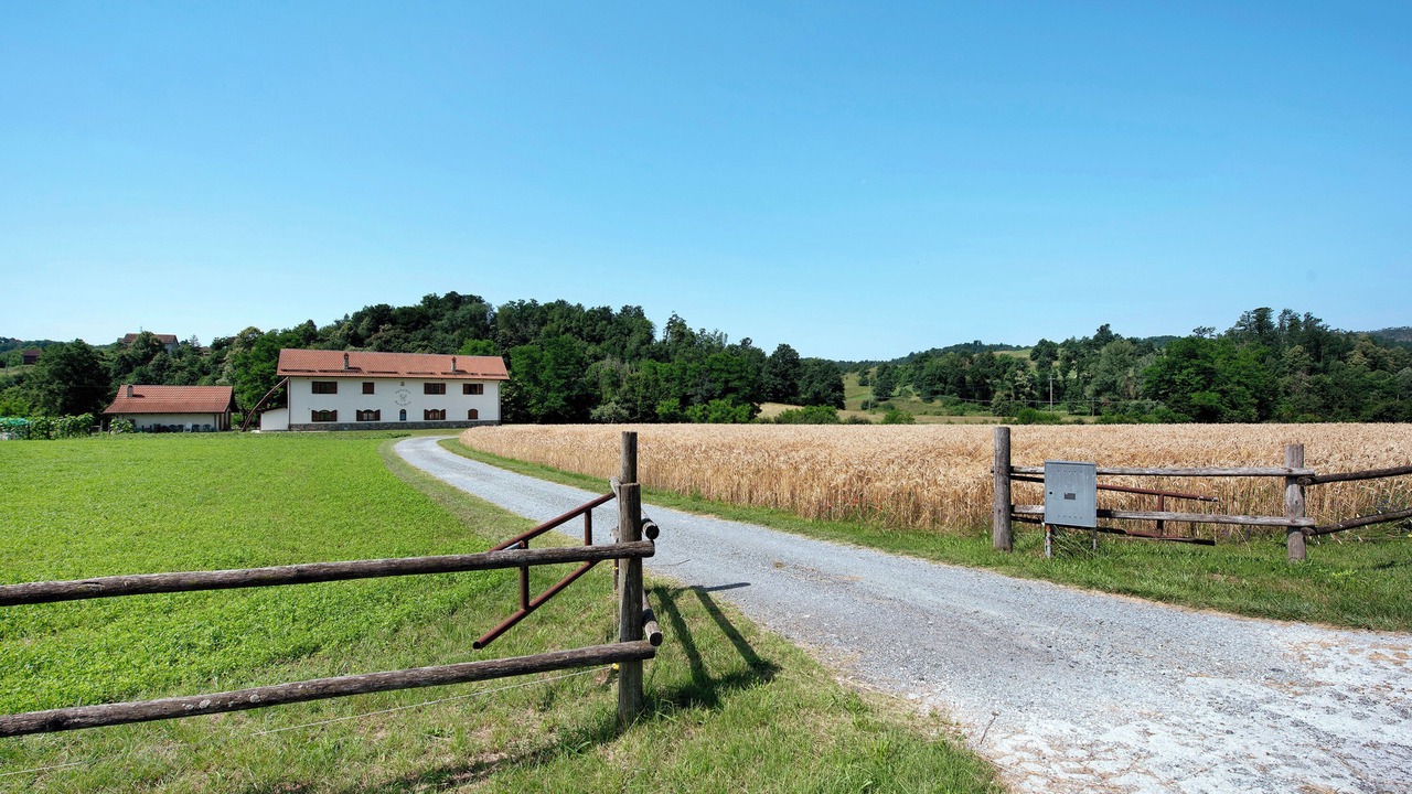 Photo of Others in Sassello